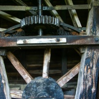 Cambridge Society visit to Wicken Fen