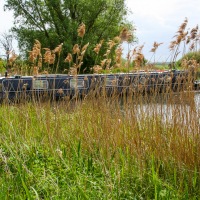 Cambridge Society visit to Wicken Fen