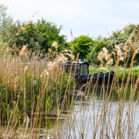 Cambridge Society visit to Wicken Fen