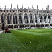 Kings college