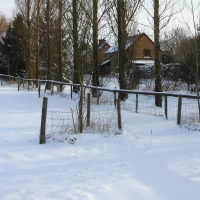 Home, Snow scene at Christmas