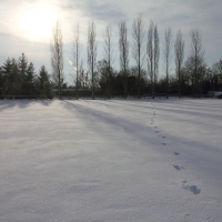 Home, Snow scene at Christmas