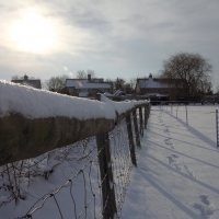 Home, Snow scene at Christmas