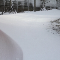 Home, Snow scene at Christmas