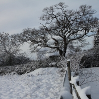 The Plough and Anchor car park