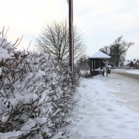 The bus stop on the Grendon Underwood Road