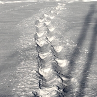 Snow tracks