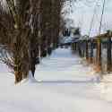 Home, Snow scene at Christmas