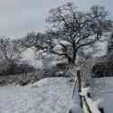 The Plough and Anchor car park