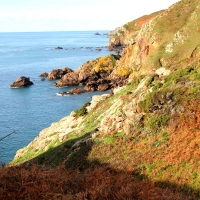 Guernsey cliff path, 2010