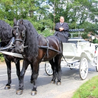 Wedding party Coach and pair