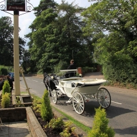 Wedding party Coach and pair