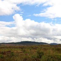 Culloden