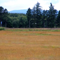 Culloden