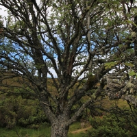 Cairngorms National Park