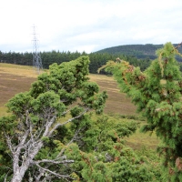 Cairngorms National Park