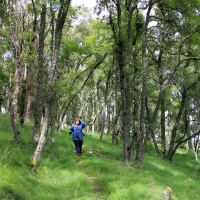 Cairngorms National Park