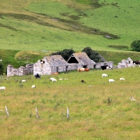 Cairngorms National Park