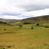 Cairngorms National Park