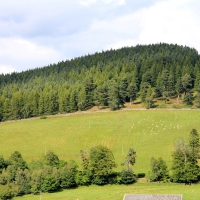 Cairngorms National Park