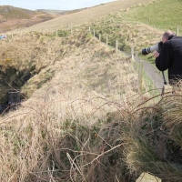 Boscastle