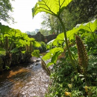 Cambridge Society Visit to Dunster