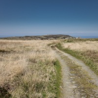 Cambridge Society and Lundy Island