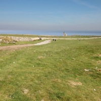 Cambridge Society and Lundy Island