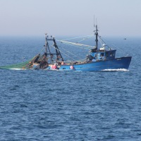 Cambridge Society and Lundy Island