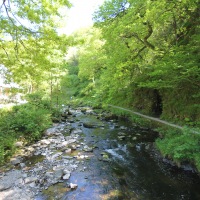 Cambridge Society and Watersmeet