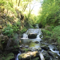 WatersMeet WatersMeet