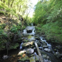 Cambridge Society and Watersmeet