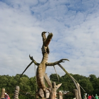 Stone circle area