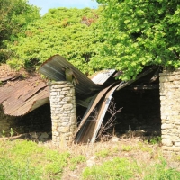 Ken and Sue's orchard, Holton