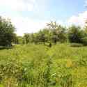 Ken and Sue's orchard, Holton