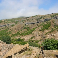 Bulgaria Naturetrek 2011