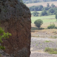 Bulgaria Naturetrek 2011