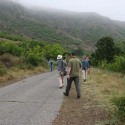 Bulgaria Naturetrek 2011