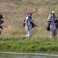 Bulgaria Naturetrek 2011