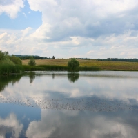 Bulgaria Naturetrek 2011