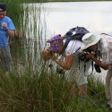 Bulgaria Naturetrek 2011