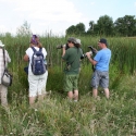 Bulgaria Naturetrek 2011