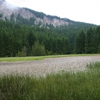 Bulgaria Naturetrek 2011