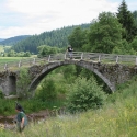 Bulgaria Naturetrek 2011