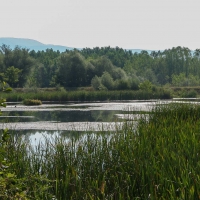 Bulgaria Naturetrek 2011