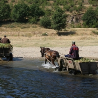 Bulgaria Naturetrek 2011