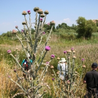 Bulgaria Naturetrek 2011