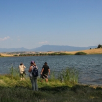 Bulgaria Naturetrek 2011