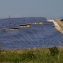 Bulgaria Naturetrek 2011