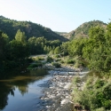 Bulgaria Naturetrek 2011